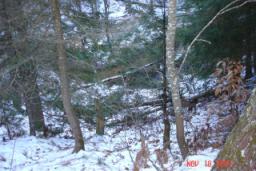 DEER CAMP 2007 047.jpg